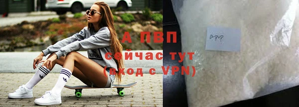 стафф Аркадак
