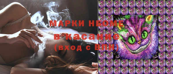 стафф Аркадак