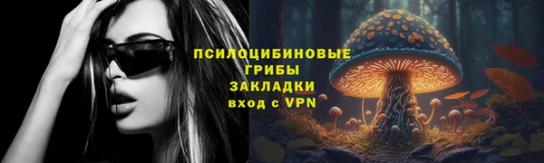 стафф Аркадак