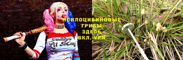 стафф Аркадак