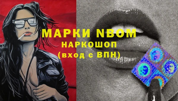 индика Покачи