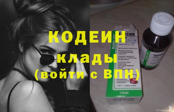 индика Покачи